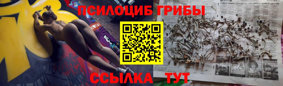 Галлюциногенные грибы мухоморы  Галлюциногенные грибы MAGIC MUSHROOMS  цены   Вход с VPN  Северобайкальск 